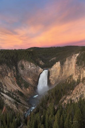 Framed Lower Falls of the Yellowstone River II Print