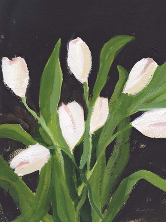 Framed White Tulips on Black (1) Print
