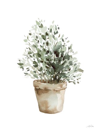 Framed Potted Herbs Print