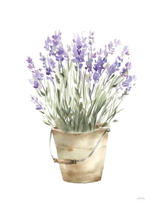 Framed Potted Lavender Print