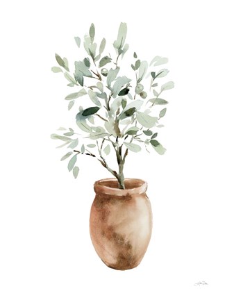Framed Potted Olive Tree Print