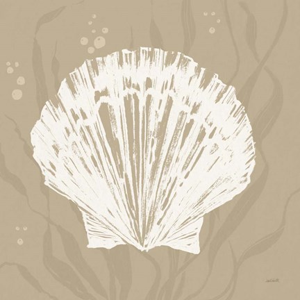 Framed Seaside Style XV Shell Print