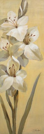 Framed Subtle Lily II Print