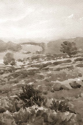 Framed Field of Flowers III Sepia Print