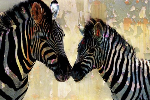 Framed Zebra Love Print
