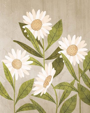 Framed Daisies 1 Print