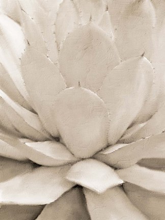 Framed Agave Neutral 1 Print