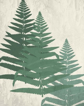 Framed Fern 2 Greens Print