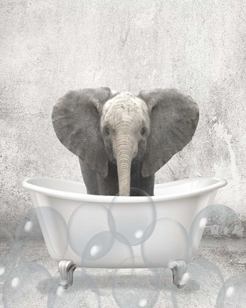 Framed Baby Elephant Bath Print