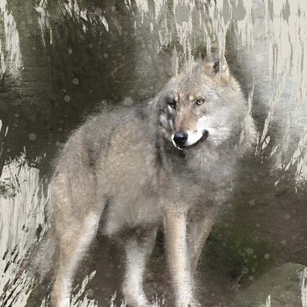 Framed Wildlife 3 Print