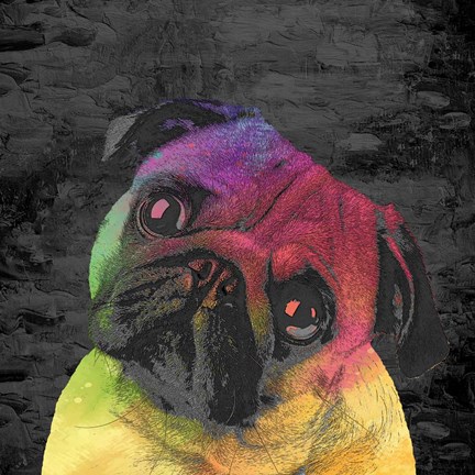 Framed Pug Print