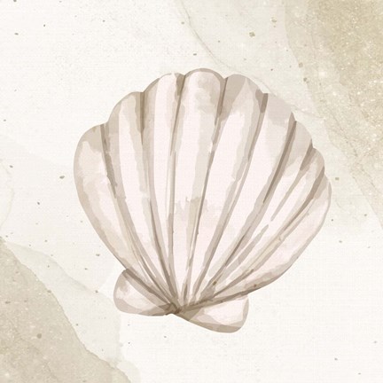 Framed Calming Shell 2 Print