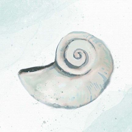 Framed Seashore Shell 1 Print