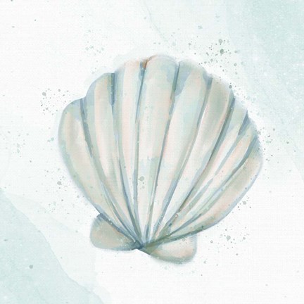 Framed Seashore Shell 2 Print