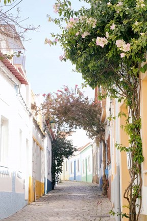 Framed Portuguese Perfection Print