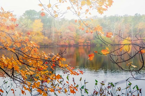 Framed Autumn Pond Print