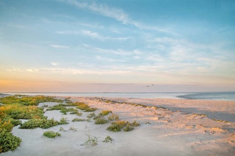 Framed Morning Beach Print