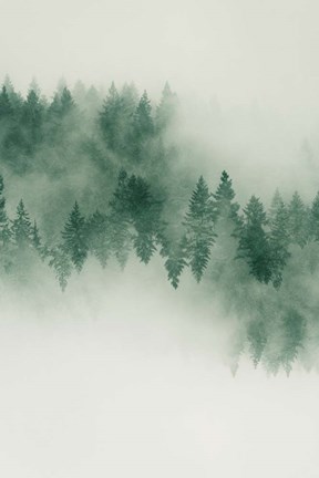 Framed Emerald Forest No. 2 Print