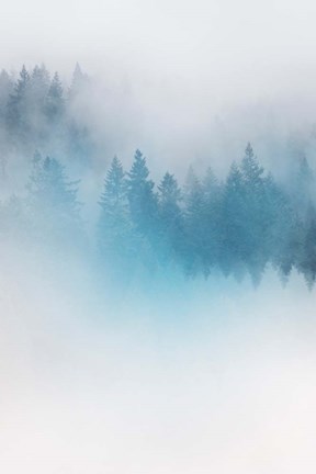 Framed Enchanted Forest No. 1 Print