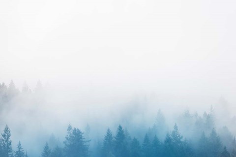 Framed Enchanted Forest No. 2 Print