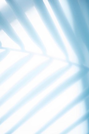 Framed Tropical Palms No. 1 Print