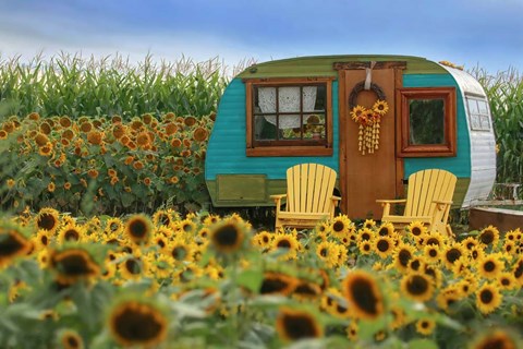 Framed Vintage Camper and Sunflowers 2 Print