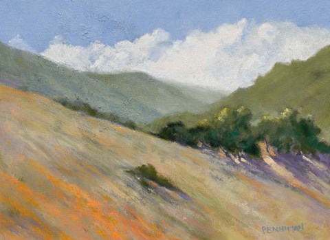 Framed Old Toll Road, Calistoga Print