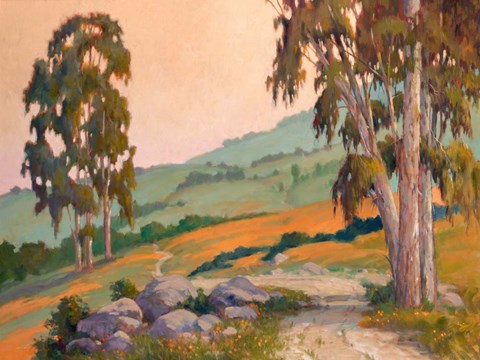 Framed Poppy Hill Path Print