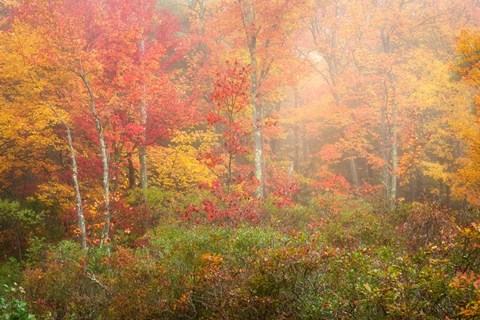 Framed Soft Pallet Print