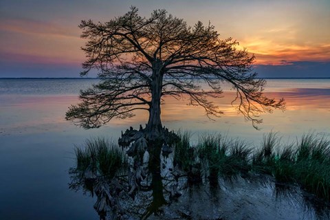 Framed Dusk on Currituck Sound Print