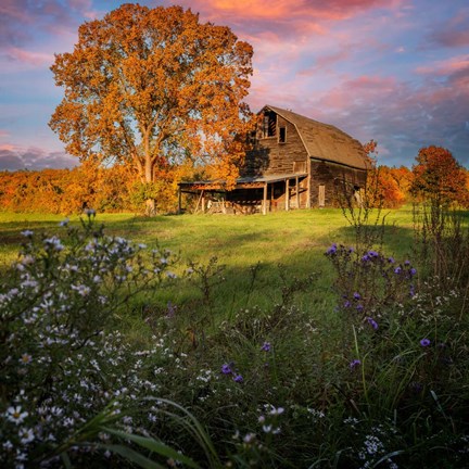 Framed Autumn Sunset by the Barn Print