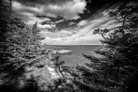 Framed Autumn Afternoon At West Quoddy Head Print