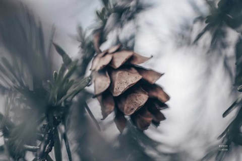 Framed cooling Print