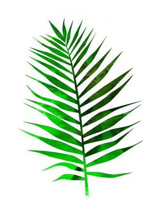 Framed Chamaedorea Leaf Print
