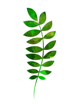 Framed Tropical Zamioculcas Leaf Print