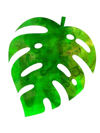 Framed Tropical Monstera Leaf Print