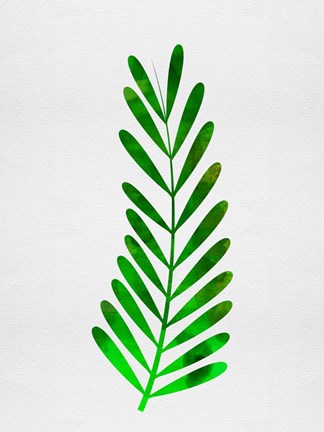 Framed Tropical Leaf II Print