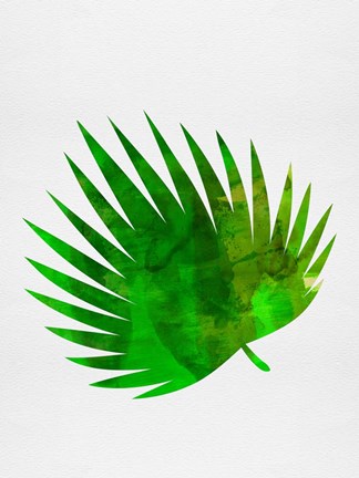 Framed Tropical Chamaerops Print