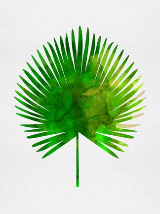 Framed Tropical Chamaerops Leaf Print