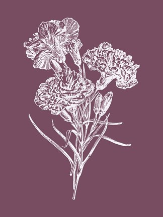 Framed Carnations Purple Flower Print