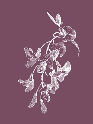 Framed Inflorescence Purple Flower Print