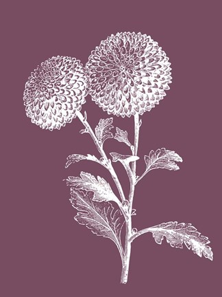 Framed Quilled Pompone Purple Flower Print