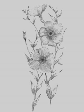 Framed Grey Flower Sketch Illustration I Print