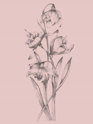 Framed Pretty Pink Flower II Print