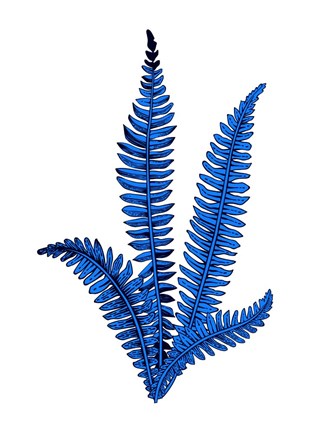 Framed Floating Blue Plant Print