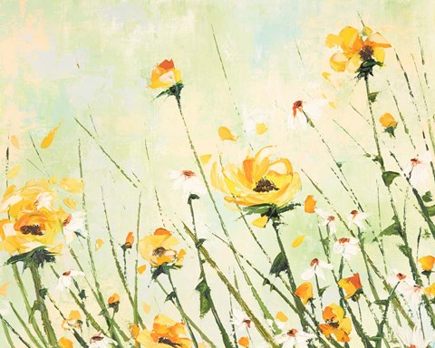 Framed Chrysanthemum and Daisy Field Print