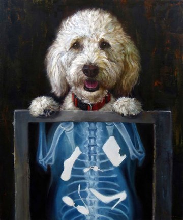 Framed Inside Story Print