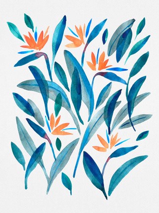 Framed Bird of Paradise Flower 2 Print