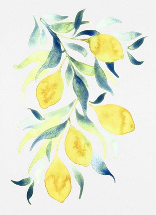 Framed Watercolor Lemons Print