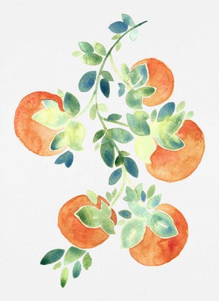 Framed Watercolor Oranges Print